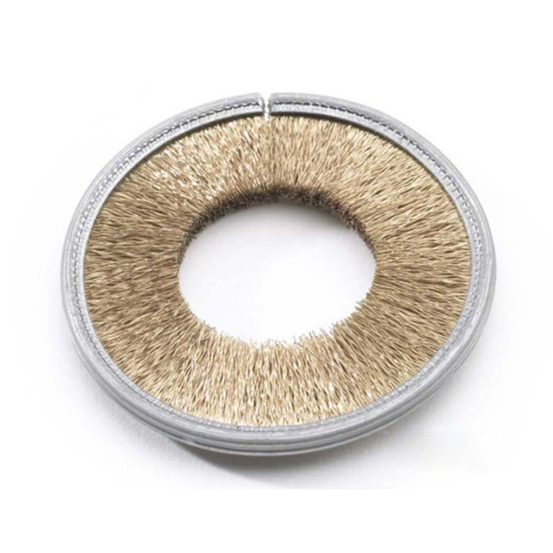 Inside Disk Brush