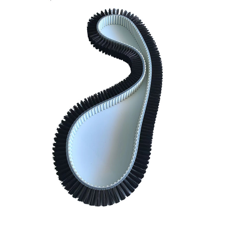 Flexible belt brush